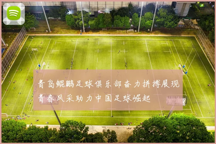 青岛鲲鹏足球俱乐部奋力拼搏展现青春风采助力中国足球崛起